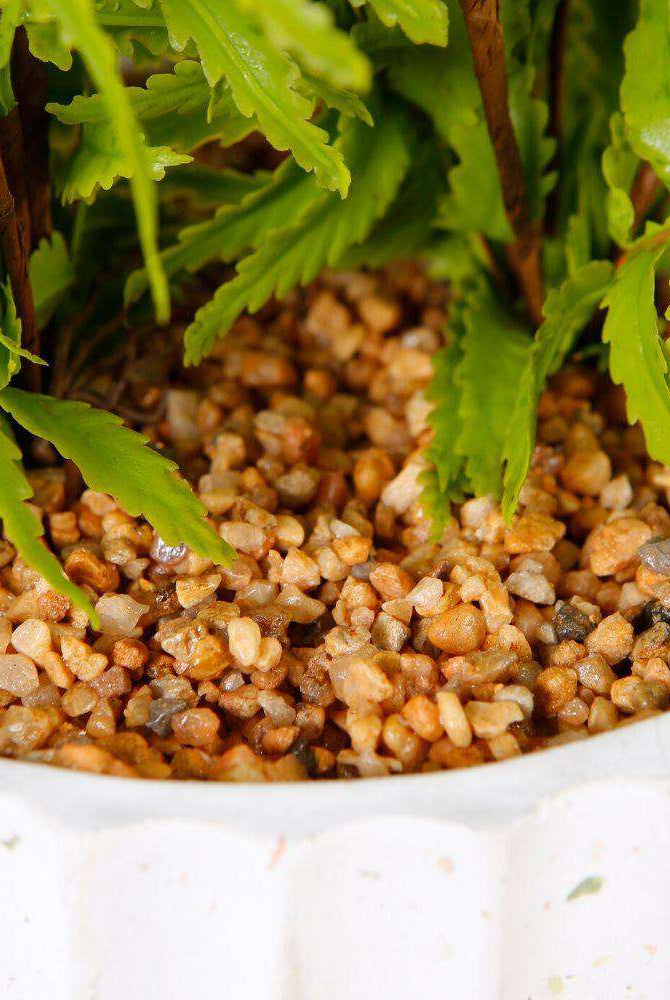 KUWU POTTED FAUX FERN ArtiPlanto