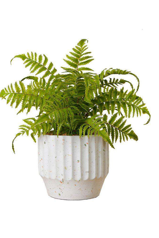 KUWU POTTED FAUX FERN ArtiPlanto