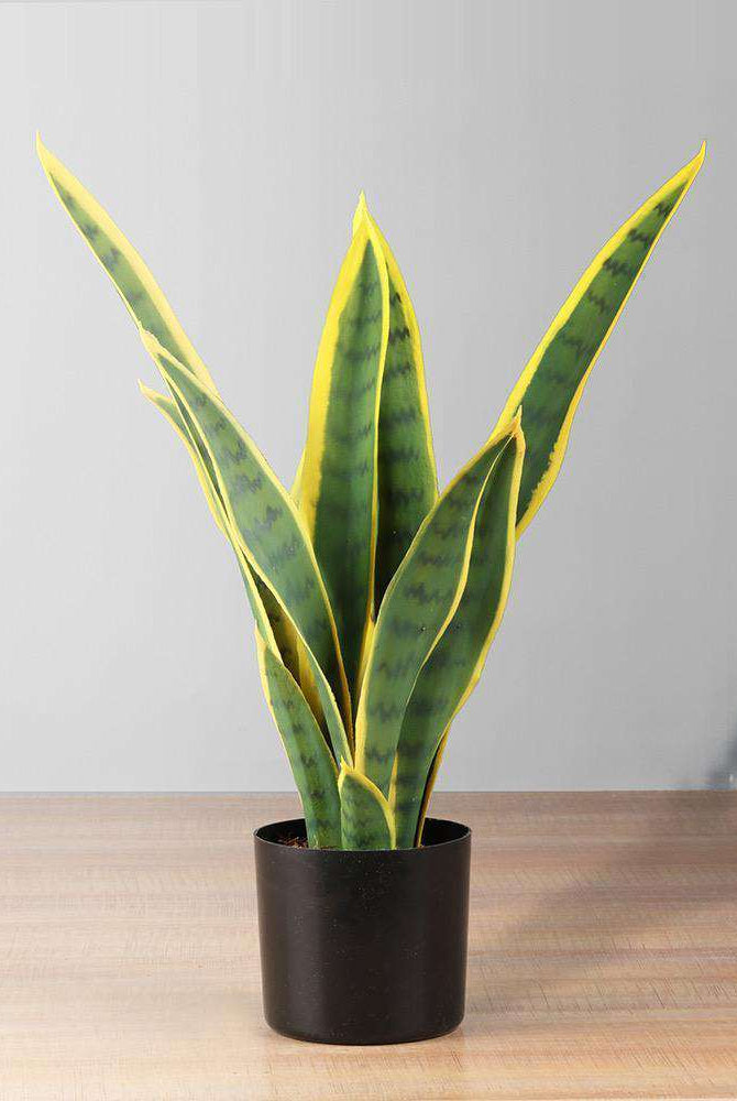 LETI Artificial Snake Sansevieria Potted Plant 21'' ArtiPlanto
