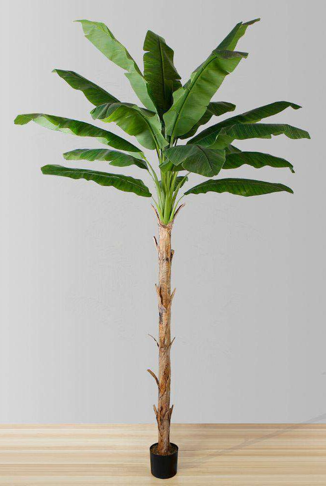 LEYA ARTIFICIAL BANANA TREE POTTED PLANT 10' ArtiPlanto