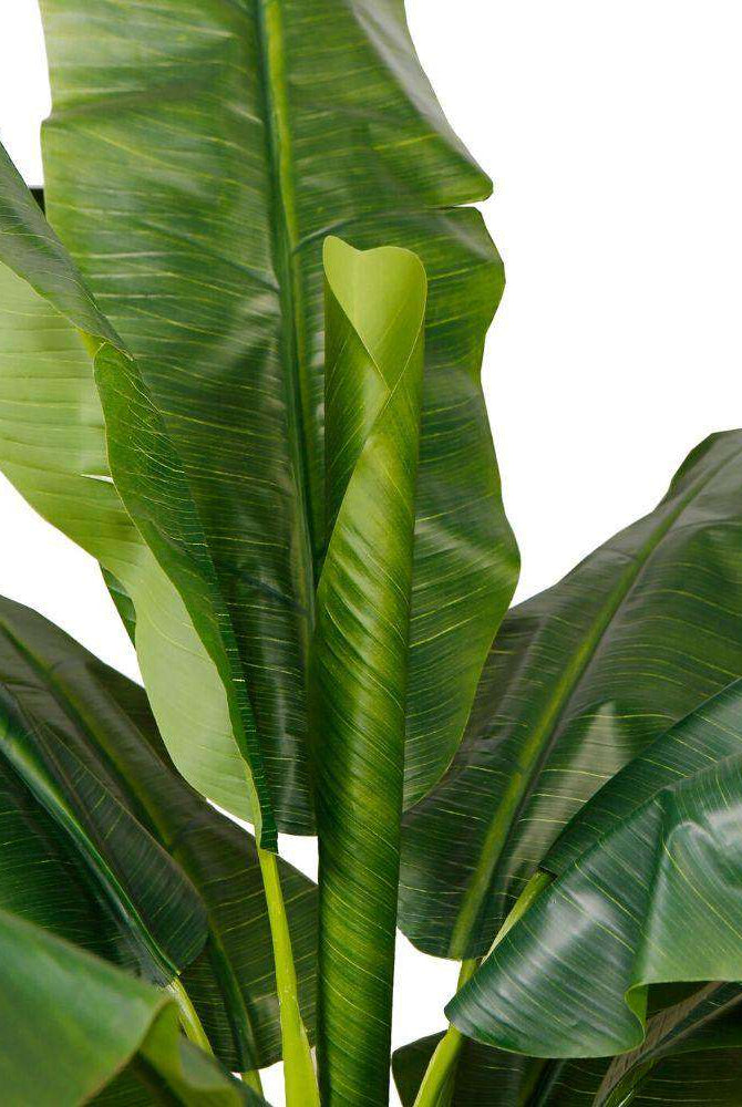 LEYA ARTIFICIAL BANANA TREE POTTED PLANT 10' ArtiPlanto