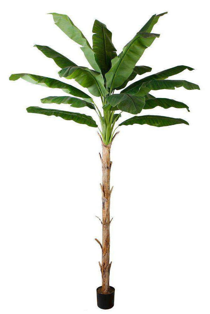 LEYA ARTIFICIAL BANANA TREE POTTED PLANT 10' ArtiPlanto