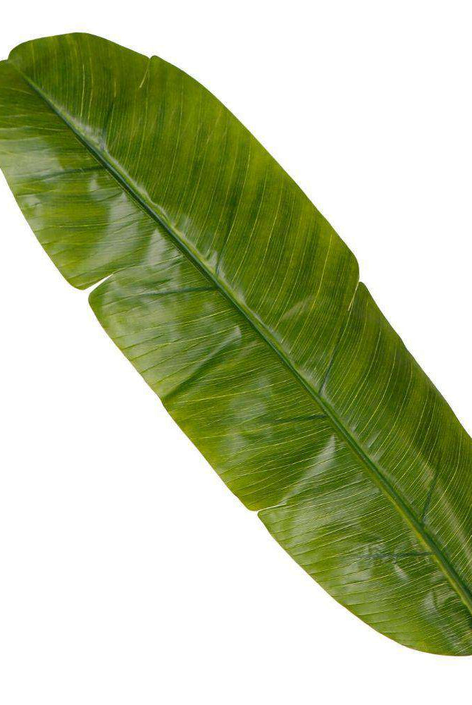 LEYA ARTIFICIAL BANANA TREE POTTED PLANT 10' ArtiPlanto
