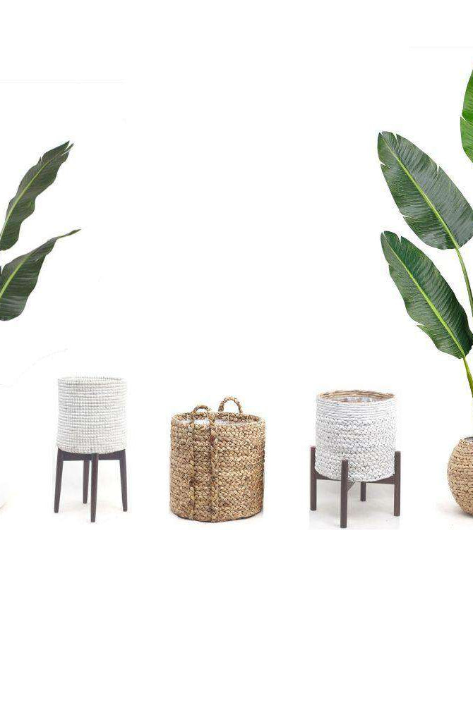LUCA Artificial Bird Of Paradise Potted Plant (Multiple Sizes) ArtiPlanto