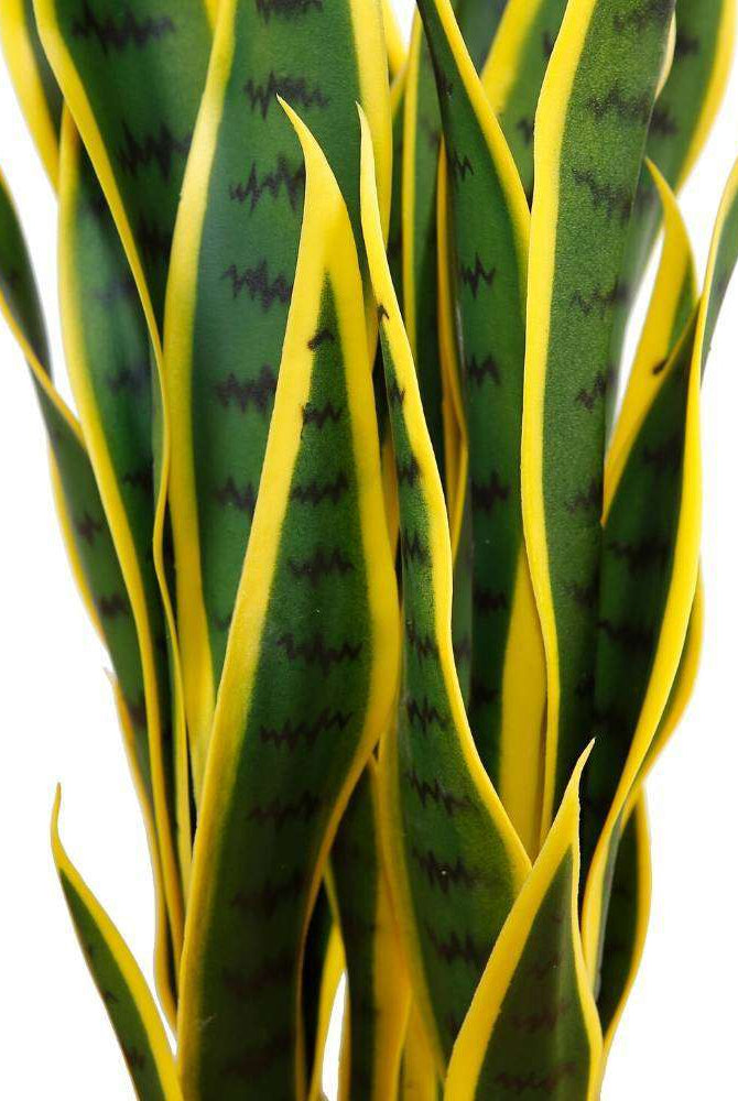 LUIS ARTIFICIAL SNAKE SANSEVIERIA YELLOW & GREEN POTTED PLANT 26'' ArtiPlanto