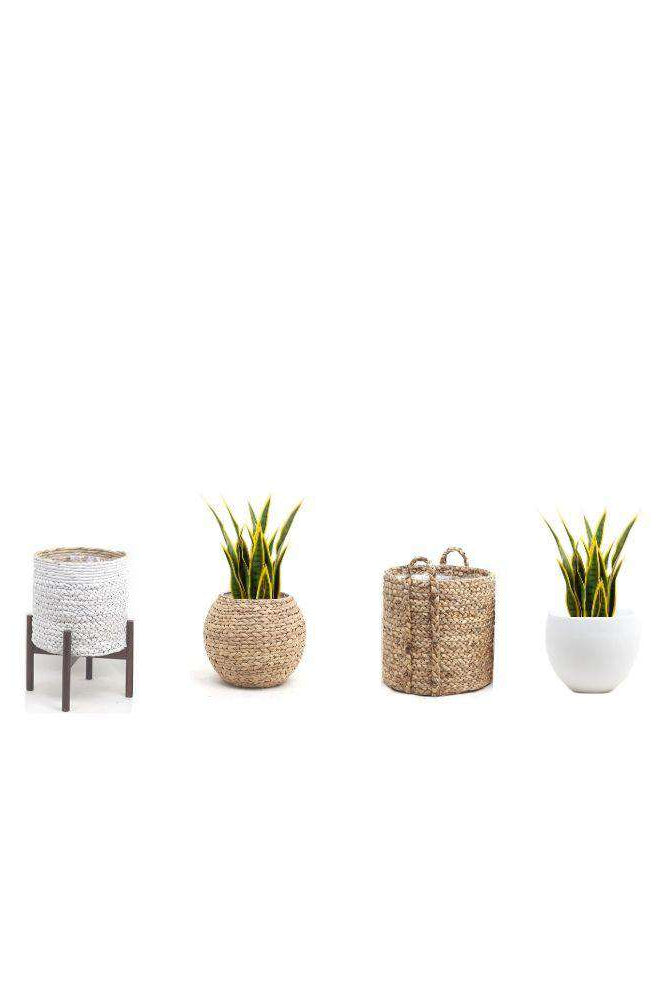 LUIS ARTIFICIAL SNAKE SANSEVIERIA YELLOW & GREEN POTTED PLANT 26'' ArtiPlanto