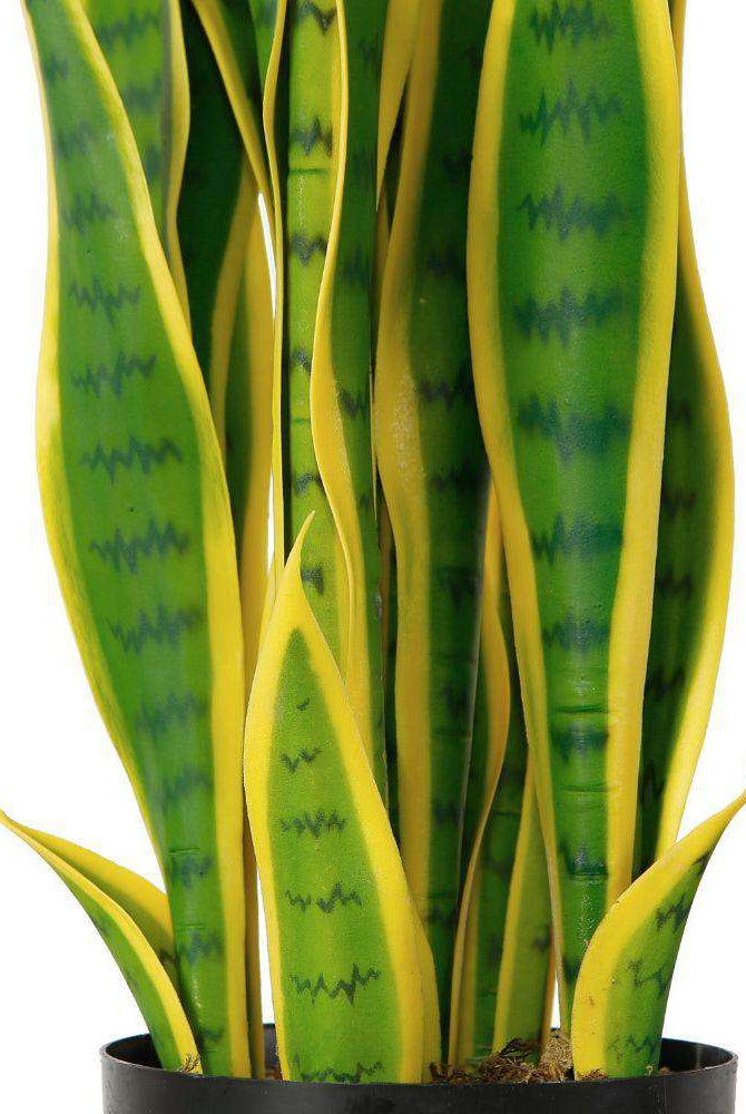 LUNA Artificial Snake Sansevieria Yellow & Green Potted Plant (MULTIPLE SIZES) ArtiPlanto