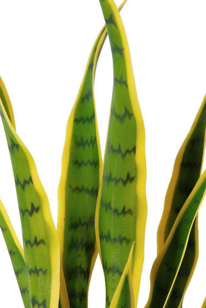 LUNA Artificial Snake Sansevieria Yellow & Green Potted Plant (MULTIPLE SIZES) ArtiPlanto
