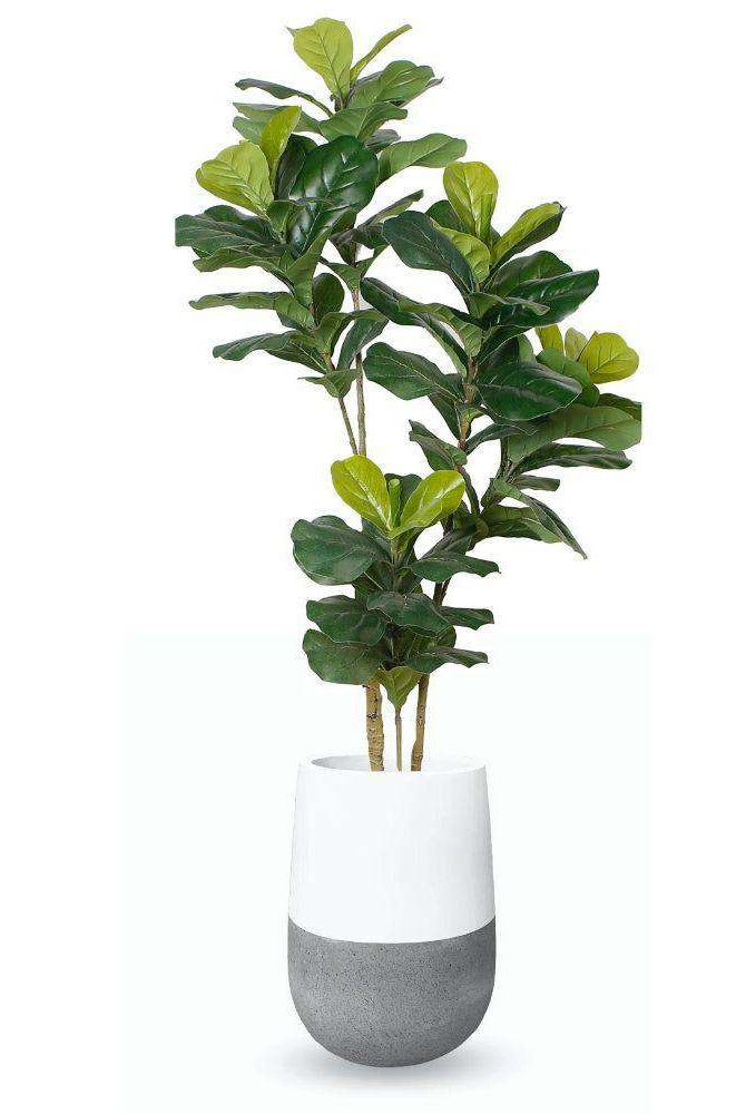 Lagos Cement Planter (Multiple Sizes) ArtiPlanto