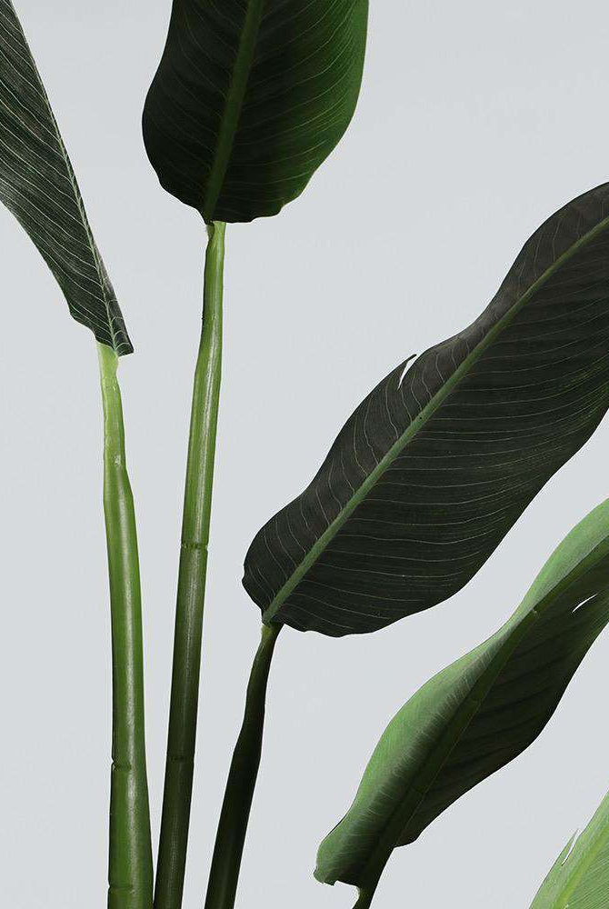 MAZA Artificial Bird Of Paradise Potted Plant (Multiple Sizes) ArtiPlanto