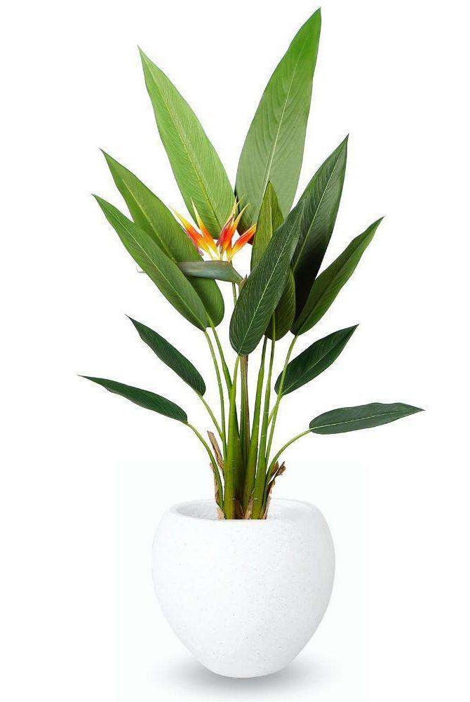 MERIDA ROUND CEMENT PLANTER (Multiple Sizes) ArtiPlanto