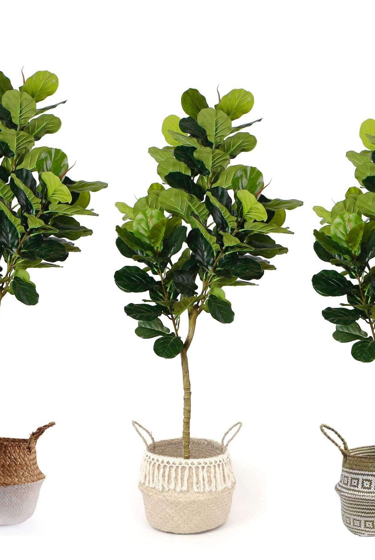 MILA ARTIFICIAL FIDDLE LEAF POTTED PLANT (MULTIPLE SIZES) ArtiPlanto