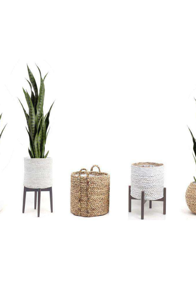 MILO Artificial Snake Sansevieria Dark Green Potted Plant (MULTIPLE SIZES) ArtiPlanto