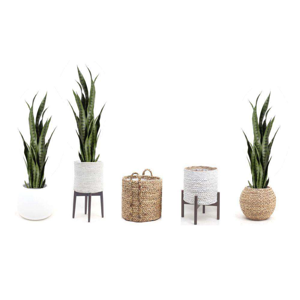 MILO Artificial Snake Sansevieria Dark Green Potted Plant (MULTIPLE SIZES) ArtiPlanto