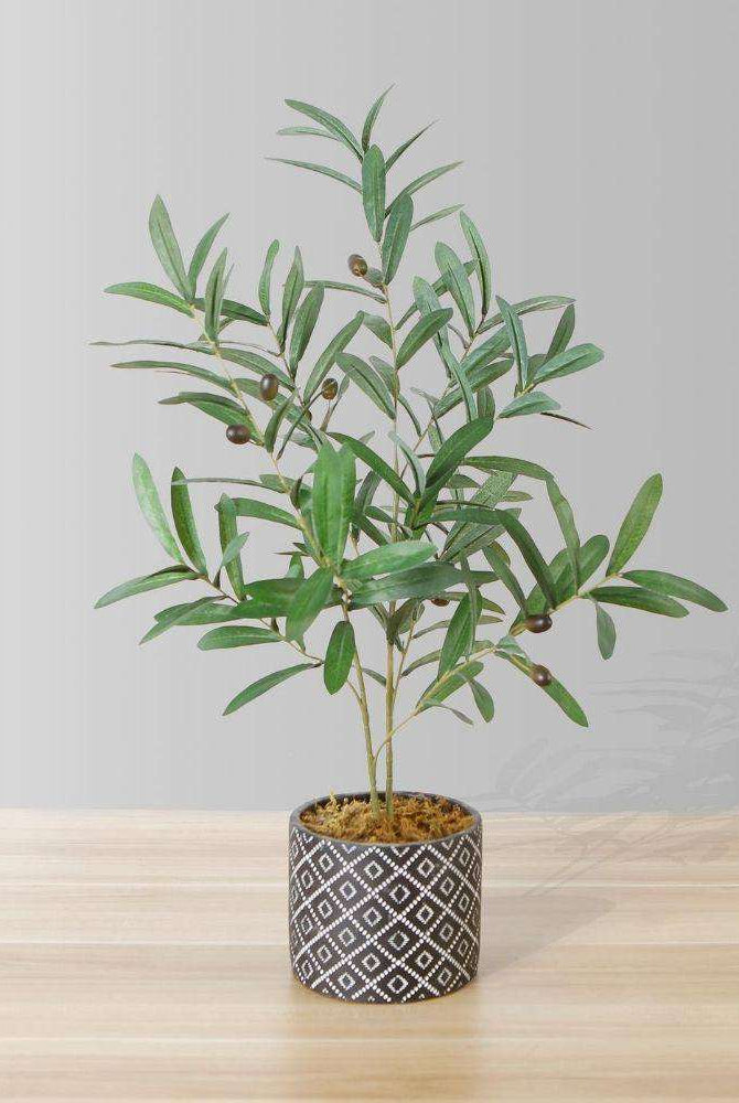 Madero Potted Faux Olive Plant ArtiPlanto
