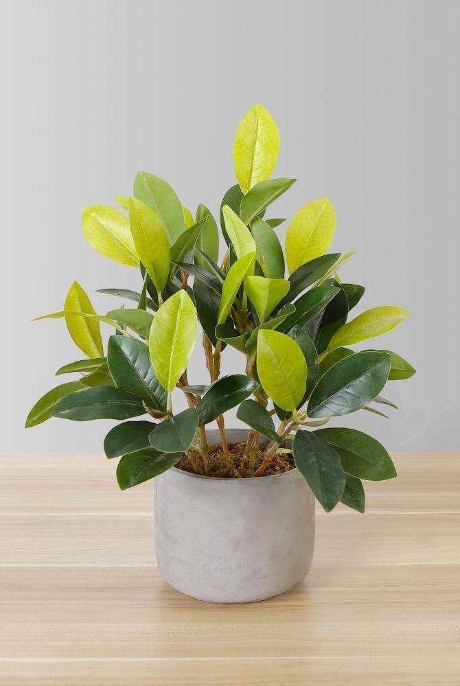 Moralilo Potted Faux Watercress Plant ArtiPlanto