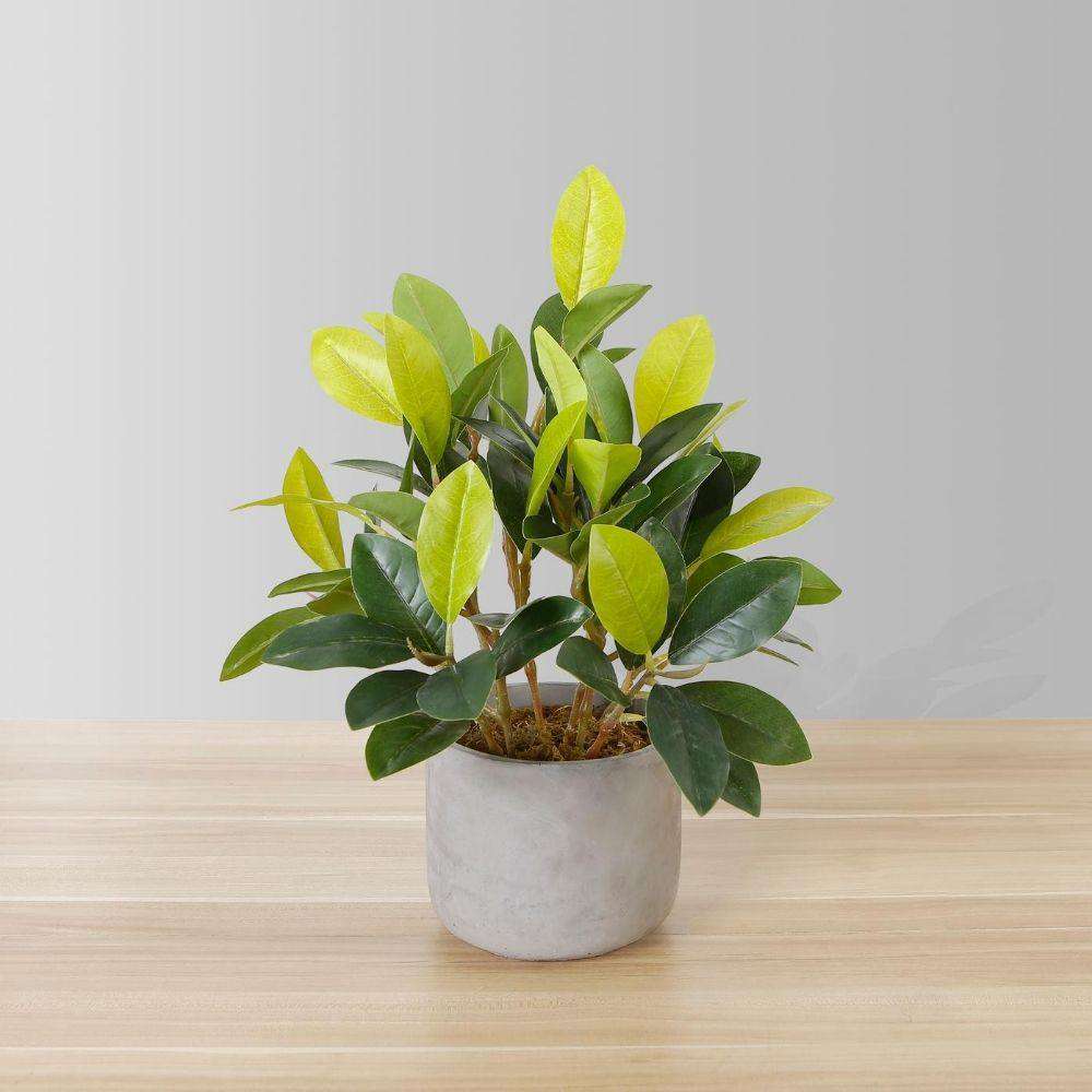Moralilo Potted Faux Watercress Plant ArtiPlanto