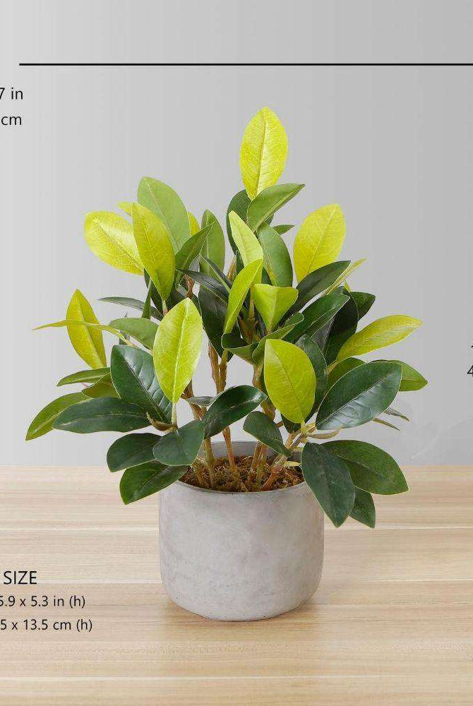 Moralilo Potted Faux Watercress Plant ArtiPlanto