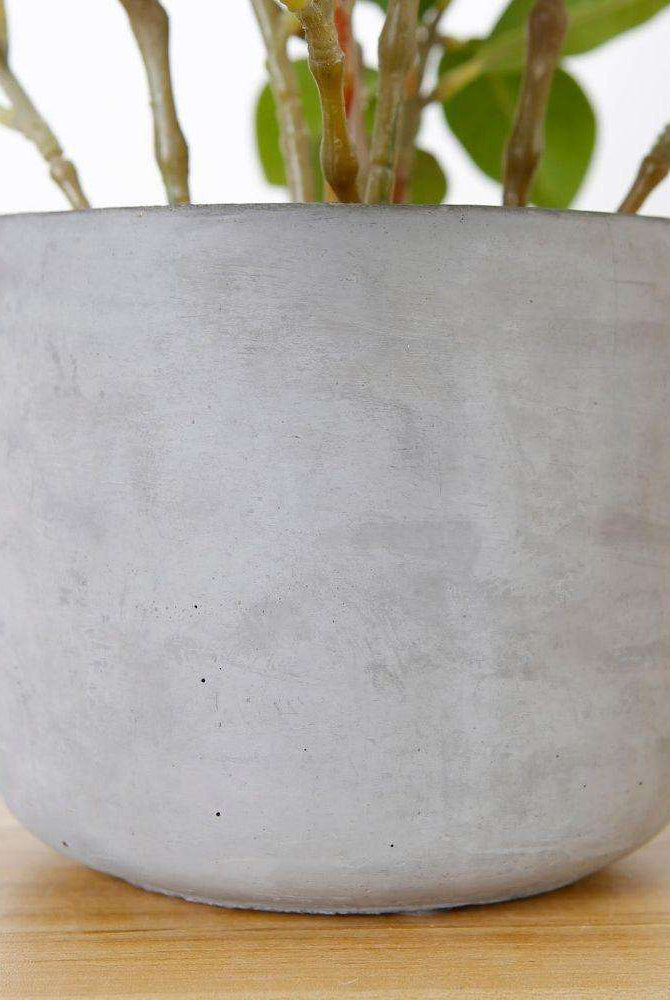 Moralilo Potted Faux Watercress Plant ArtiPlanto