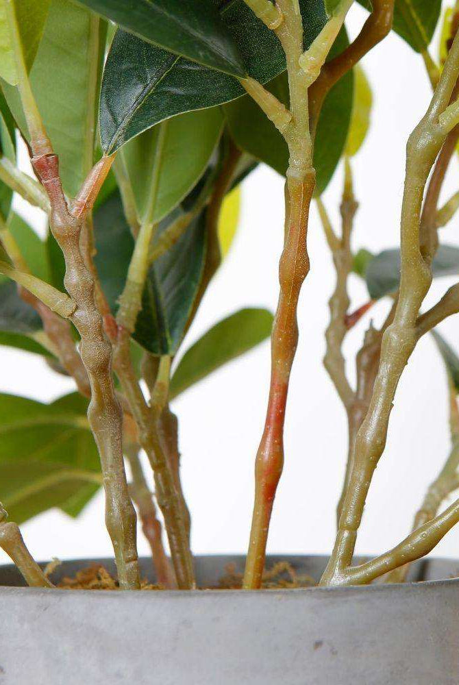 Moralilo Potted Faux Watercress Plant ArtiPlanto