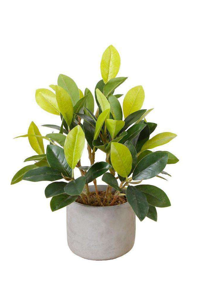 Moralilo Potted Faux Watercress Plant ArtiPlanto