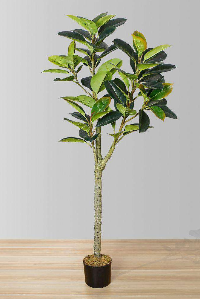 NERO Artificial Rubber Potted Plant 5' ArtiPlanto