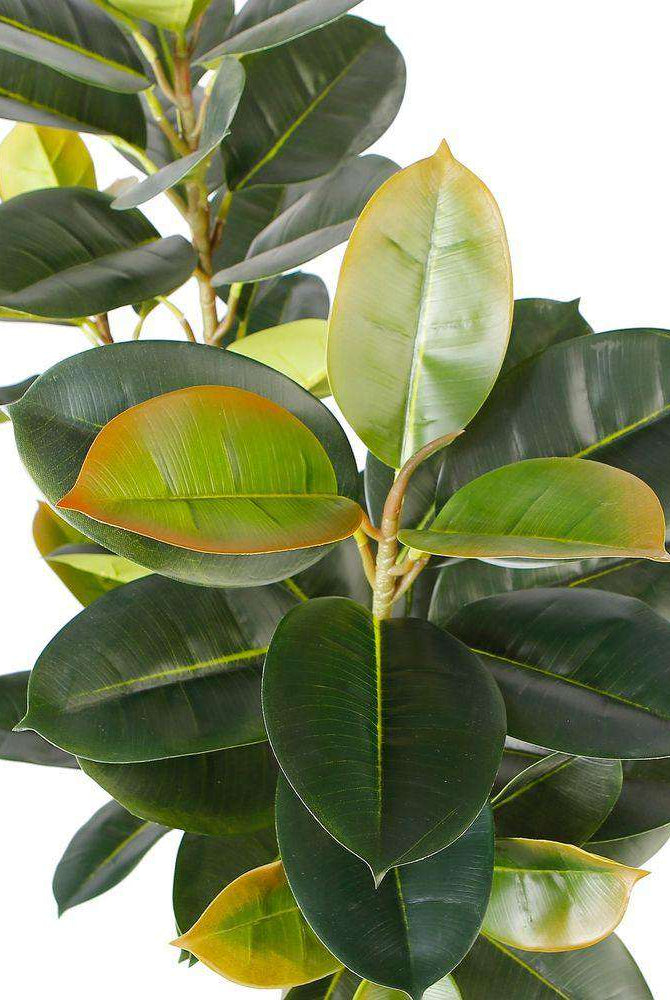 NERO Artificial Rubber Potted Plant 5' ArtiPlanto
