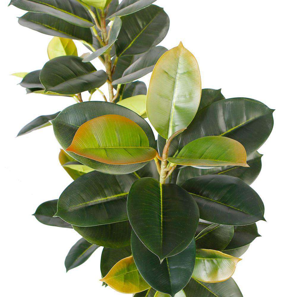 NERO Artificial Rubber Potted Plant 5' ArtiPlanto