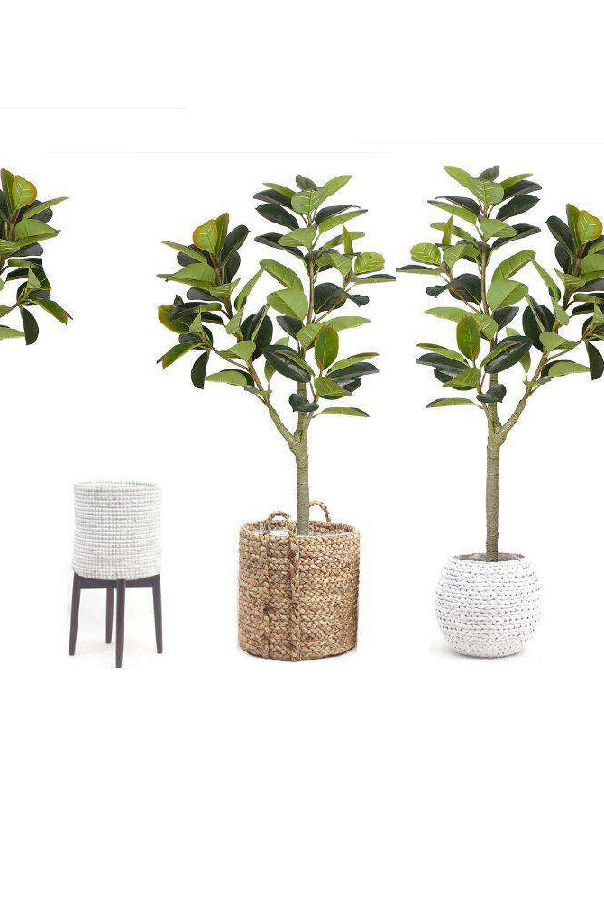 NERO Artificial Rubber Potted Plant 5' ArtiPlanto