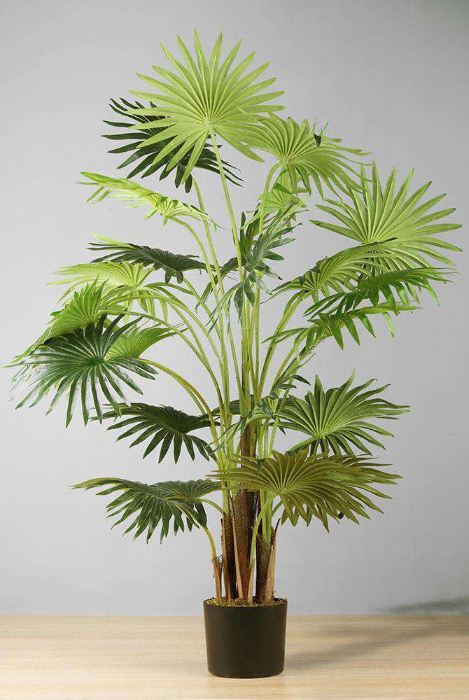 NINO Artificial Fan Palm Potted Plant 51'' ArtiPlanto