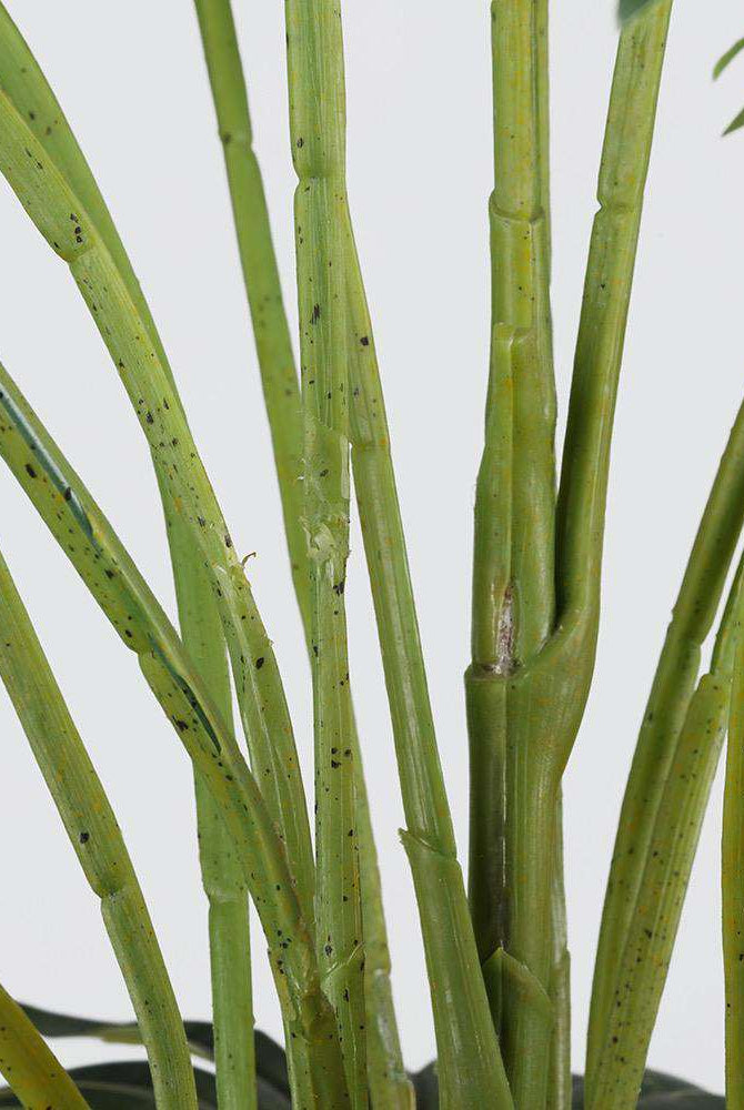 NINO Artificial Fan Palm Potted Plant 51'' ArtiPlanto