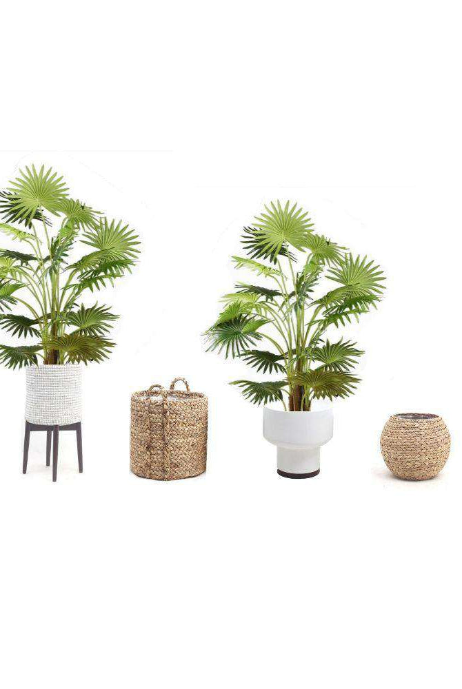 NINO Artificial Fan Palm Potted Plant 51'' ArtiPlanto