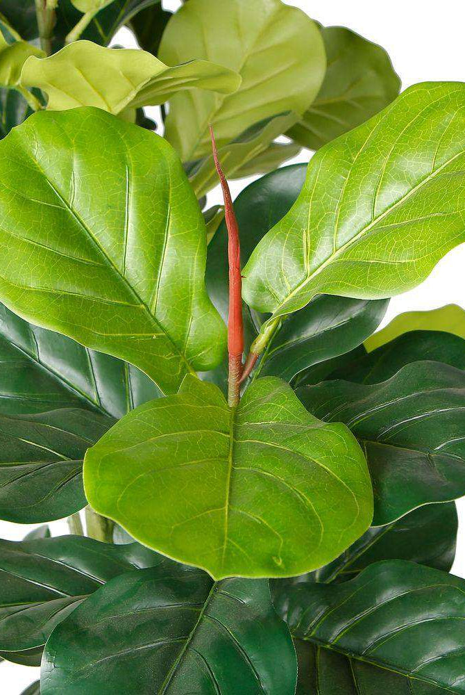 NORA Artificial Fiddle Leaf Potted Plant (Multiple Sizes) ArtiPlanto
