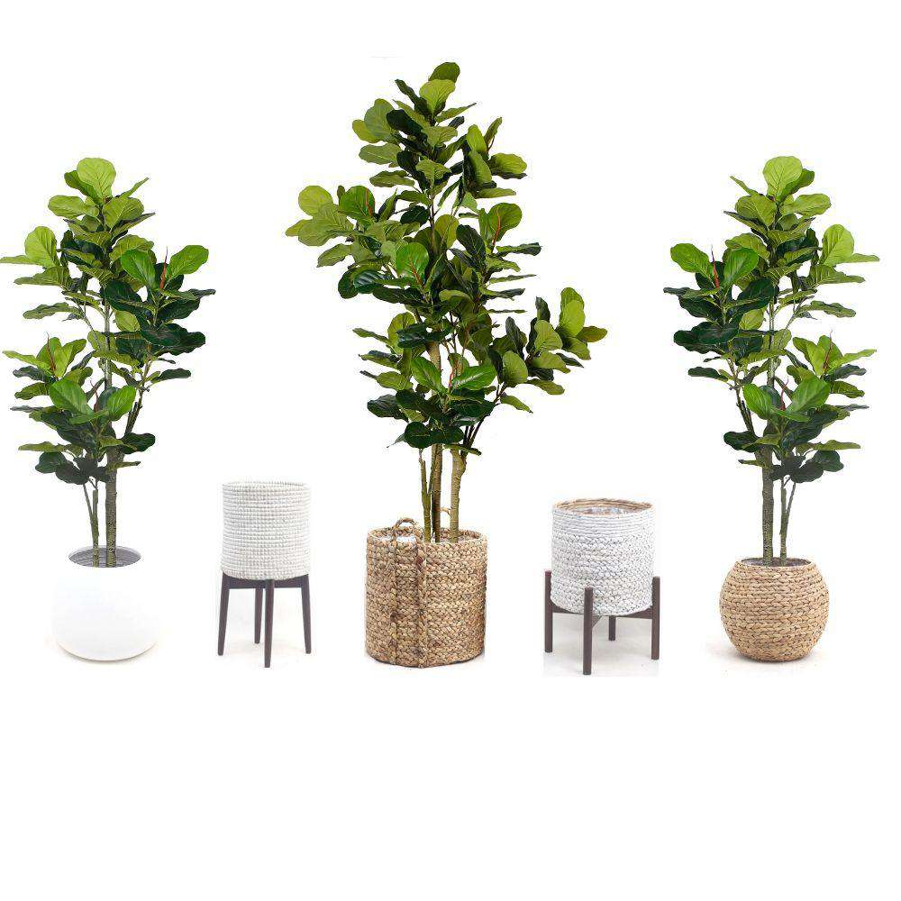 NORA Artificial Fiddle Leaf Potted Plant (Multiple Sizes) ArtiPlanto