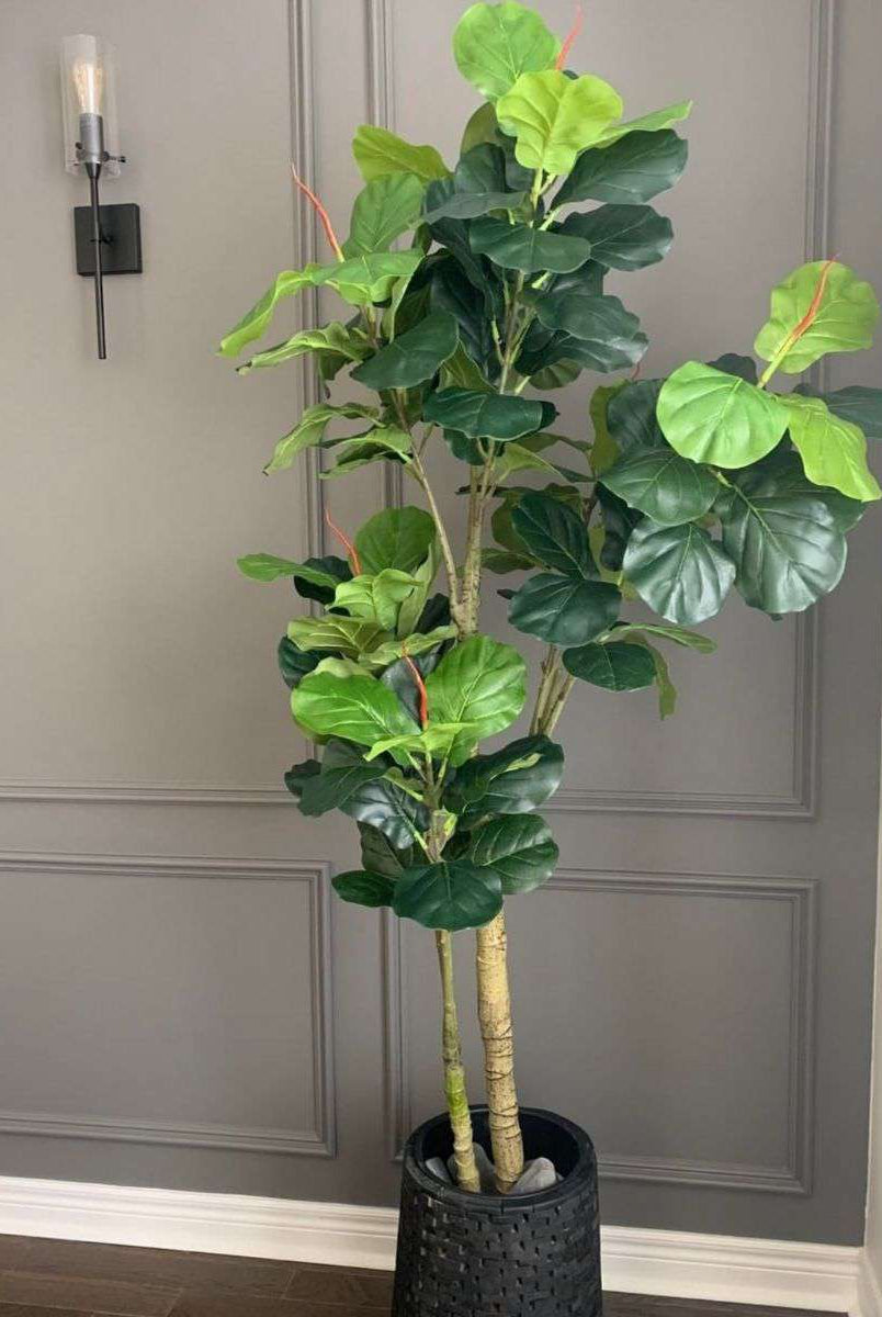 NORA Artificial Fiddle Leaf Potted Plant (Multiple Sizes) ArtiPlanto