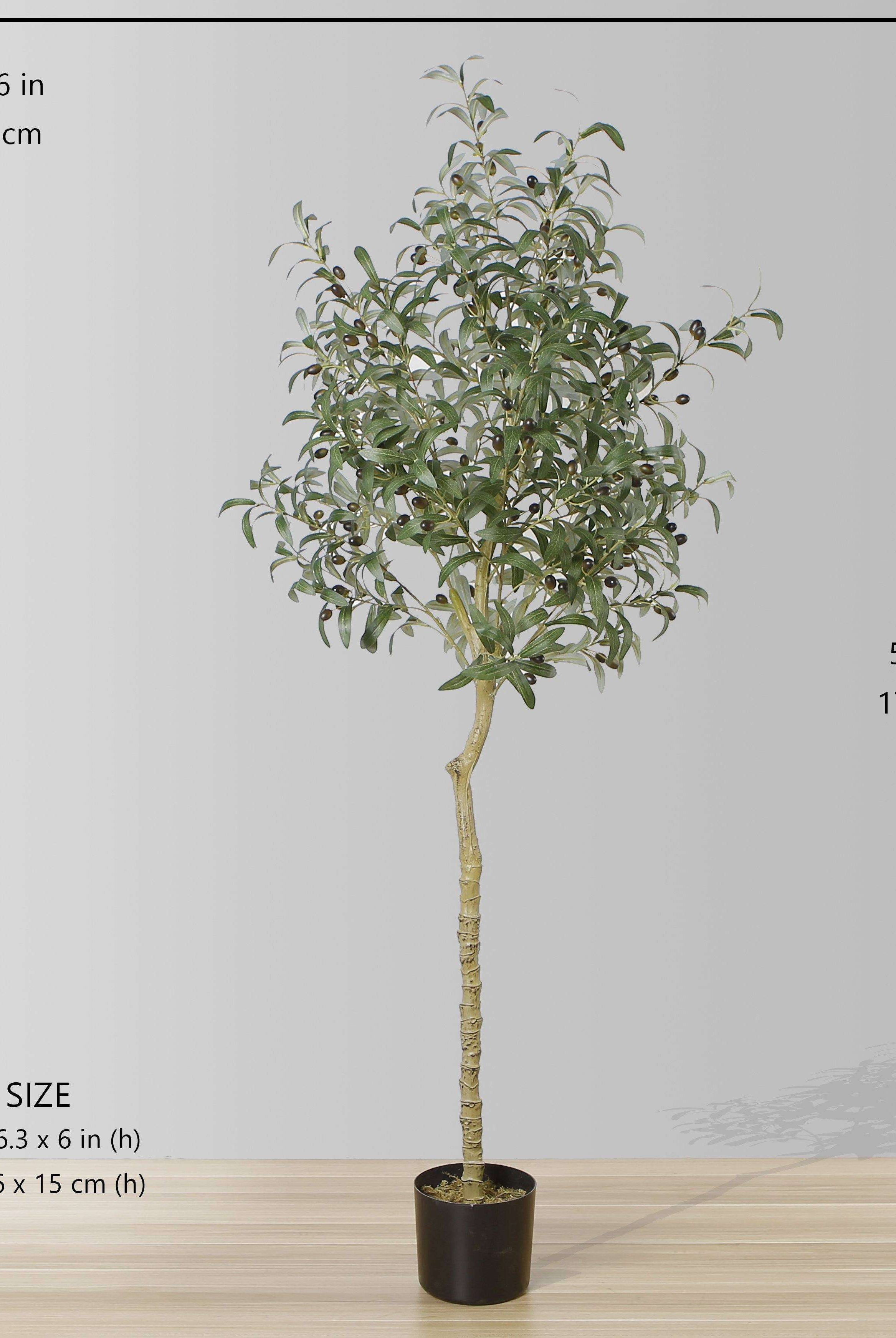 OLI ARTIFICIAL OLIVE TREE POTTED PLANT (Multiple Sizes) ArtiPlanto