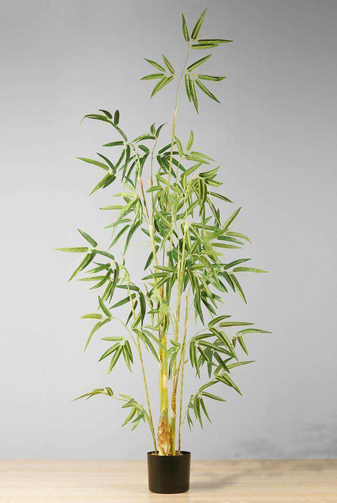 OSOS Artificial Korea Bamboo Potted Plant (Multiple Sizes) ArtiPlanto