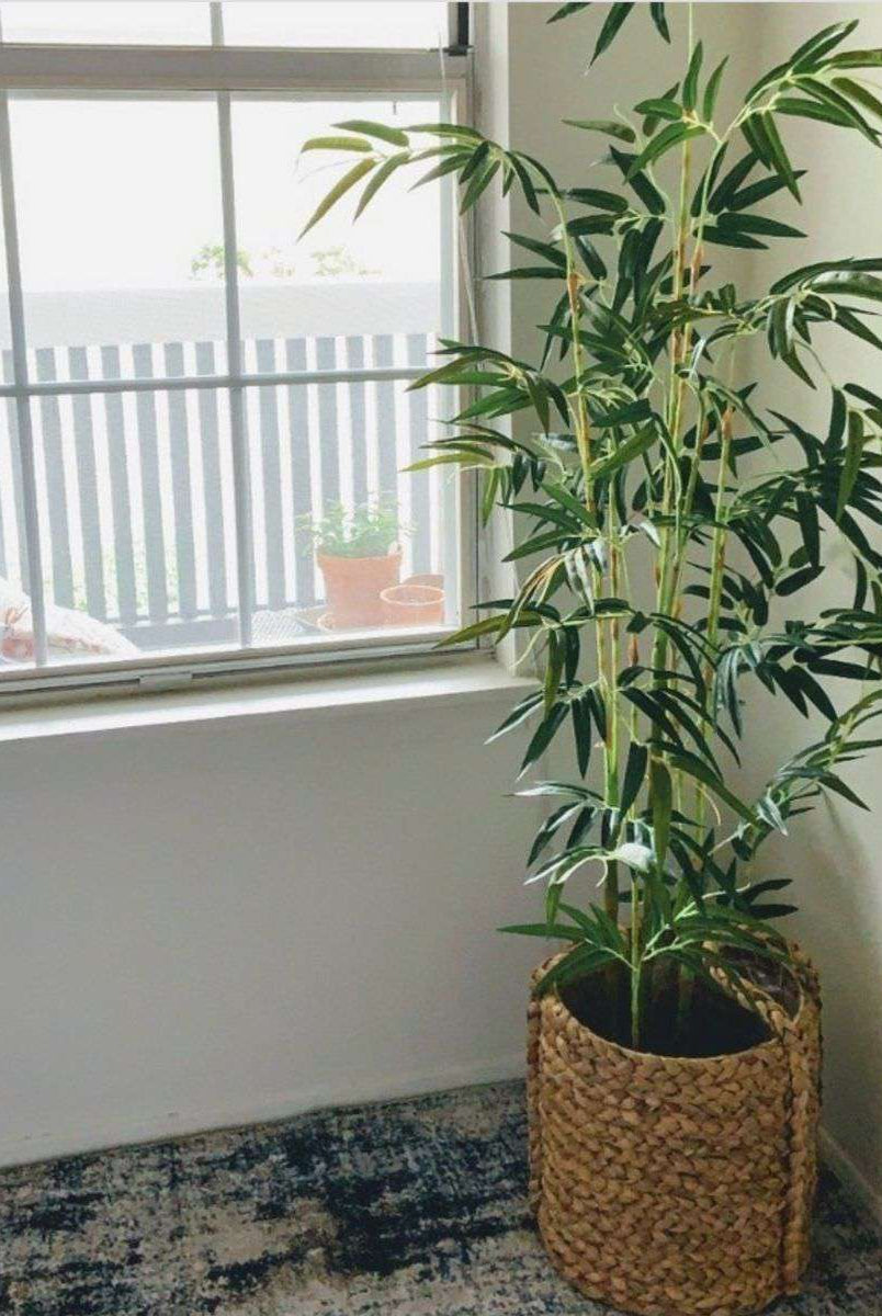 OSOS Artificial Korea Bamboo Potted Plant (Multiple Sizes) ArtiPlanto
