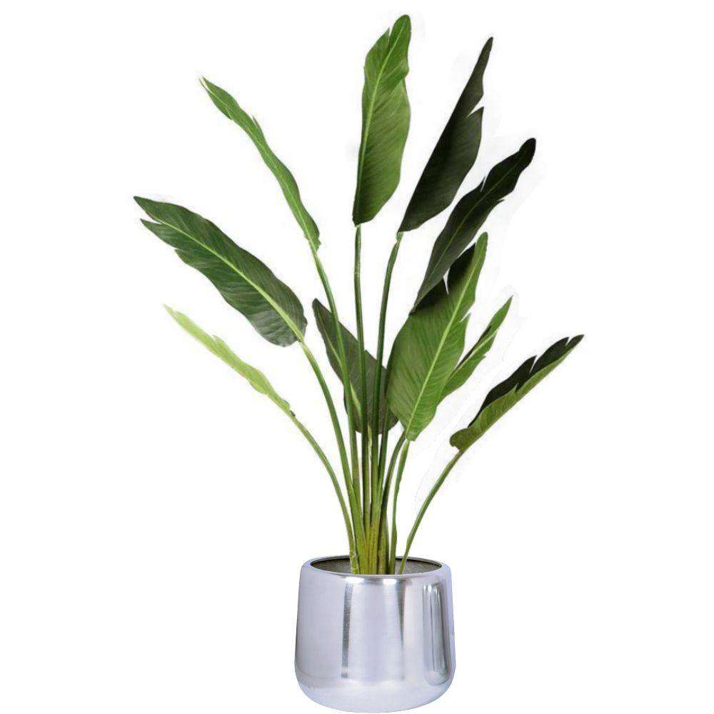 PAOLA - Brass Floor Planter (Multiple Sizes) ArtiPlanto