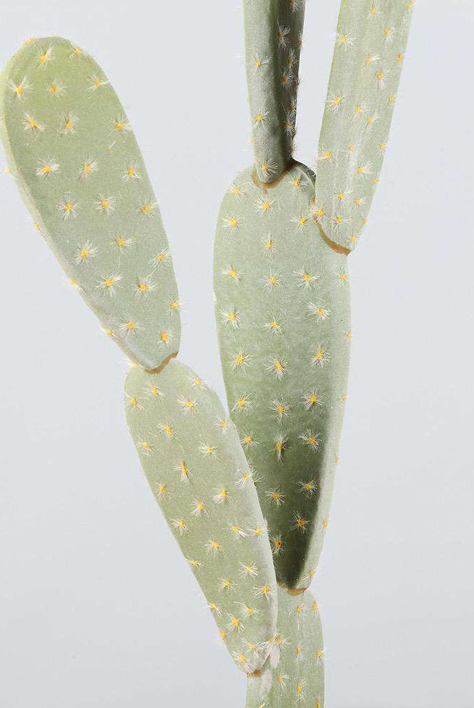 PENKA Artificial Cactus Potted Plant 26'' ArtiPlanto