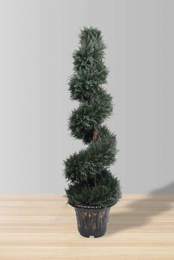 PERTH Faux Potted Spiral Boxwood Topiary Plant (MULTIPLE SIZES) ArtiPlanto