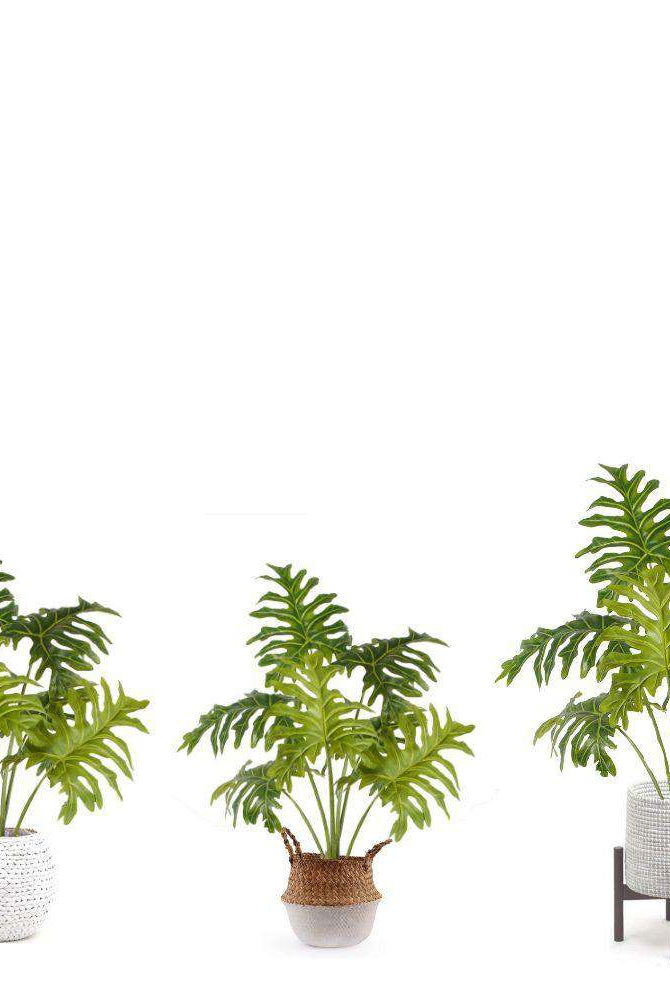 PHILO ARTIFICIAL PHILODENDRON POTTED PLANT 39'' ArtiPlanto