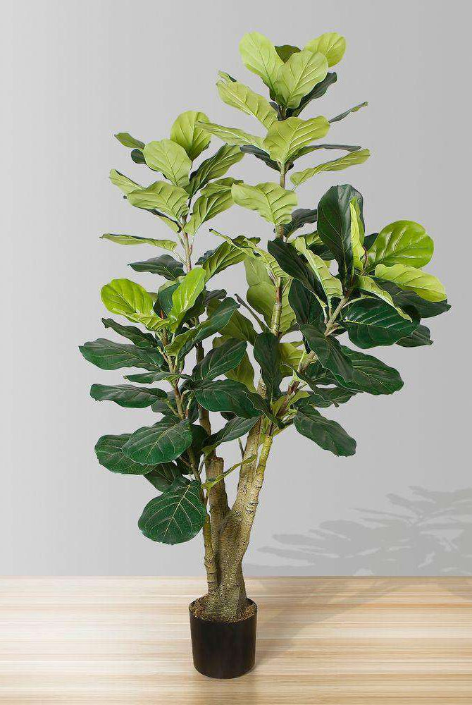 PICO Artificial Fiddle Leaf Potted Plant 5.5' ArtiPlanto