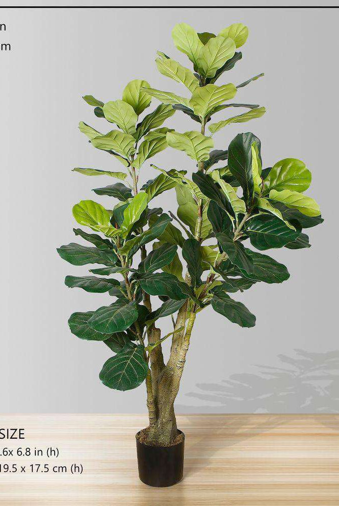PICO Artificial Fiddle Leaf Potted Plant 5.5' ArtiPlanto
