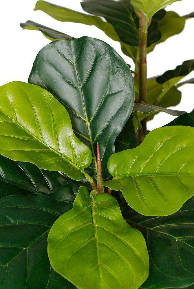 PICO Artificial Fiddle Leaf Potted Plant 5.5' ArtiPlanto