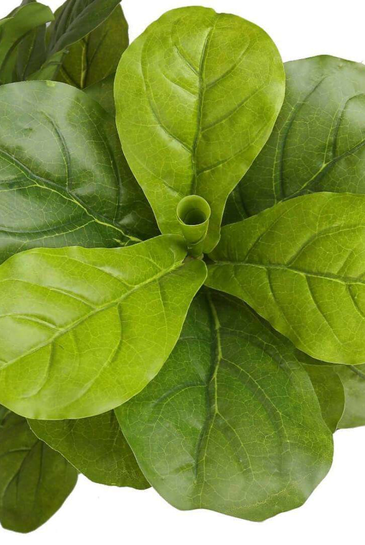 PIÑA Artificial Fiddle Leaf Potted Plant 5' ArtiPlanto