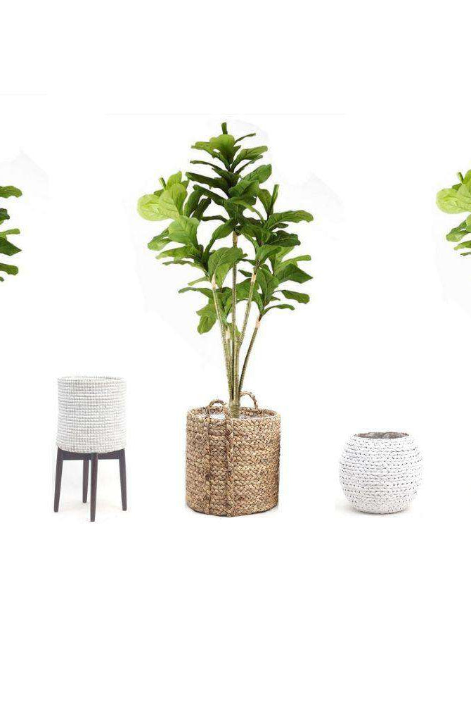 PIÑA Artificial Fiddle Leaf Potted Plant 5' ArtiPlanto