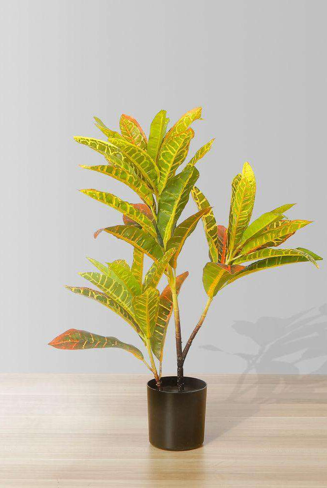 PINTO Artificial Crotons Potted Plant 22" ArtiPlanto