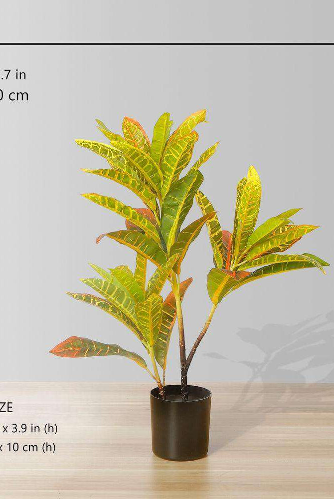 PINTO Artificial Crotons Potted Plant 22" ArtiPlanto