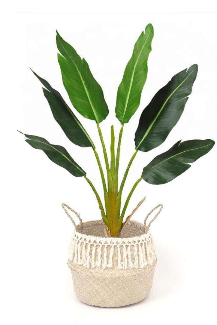 POKHA - Seagrass Basket With Tassel ArtiPlanto